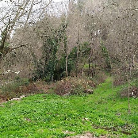 Molino Mellado Βίλα Casavieja Εξωτερικό φωτογραφία