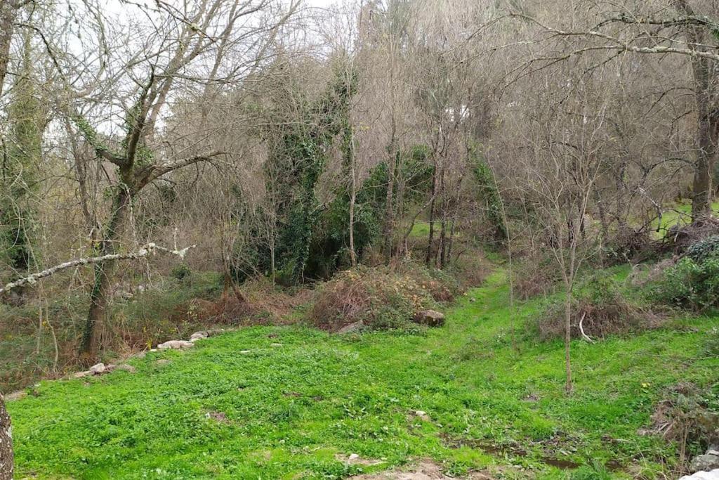 Molino Mellado Βίλα Casavieja Εξωτερικό φωτογραφία